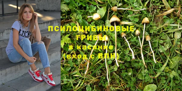 прущие грибы Лихославль