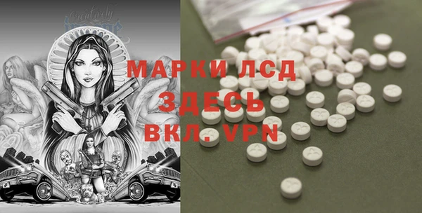 прущие грибы Лихославль