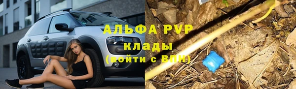 дмт Лагань