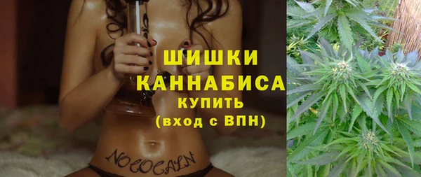 прущие грибы Лихославль