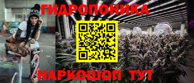 гашик Гусев