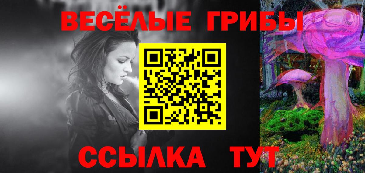 Псилоцибиновые грибы Psilocybine cubensis  Михайловка 