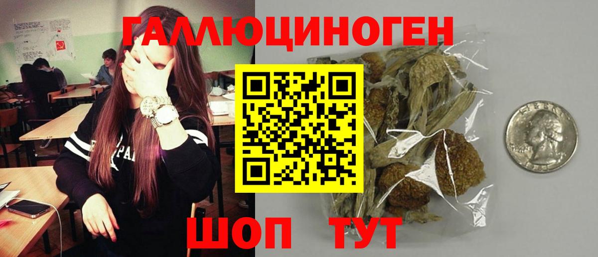 Галлюциногенные грибы мицелий Михайловка